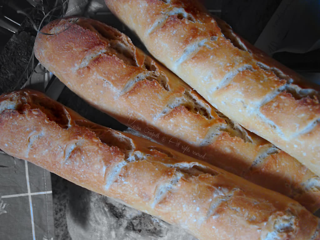 baguette fatto in casa